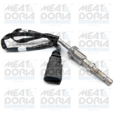 Sensor, exhaust gas temperature